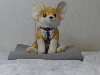 Unnamed 42 (Fennec Fox, Wild Republic)